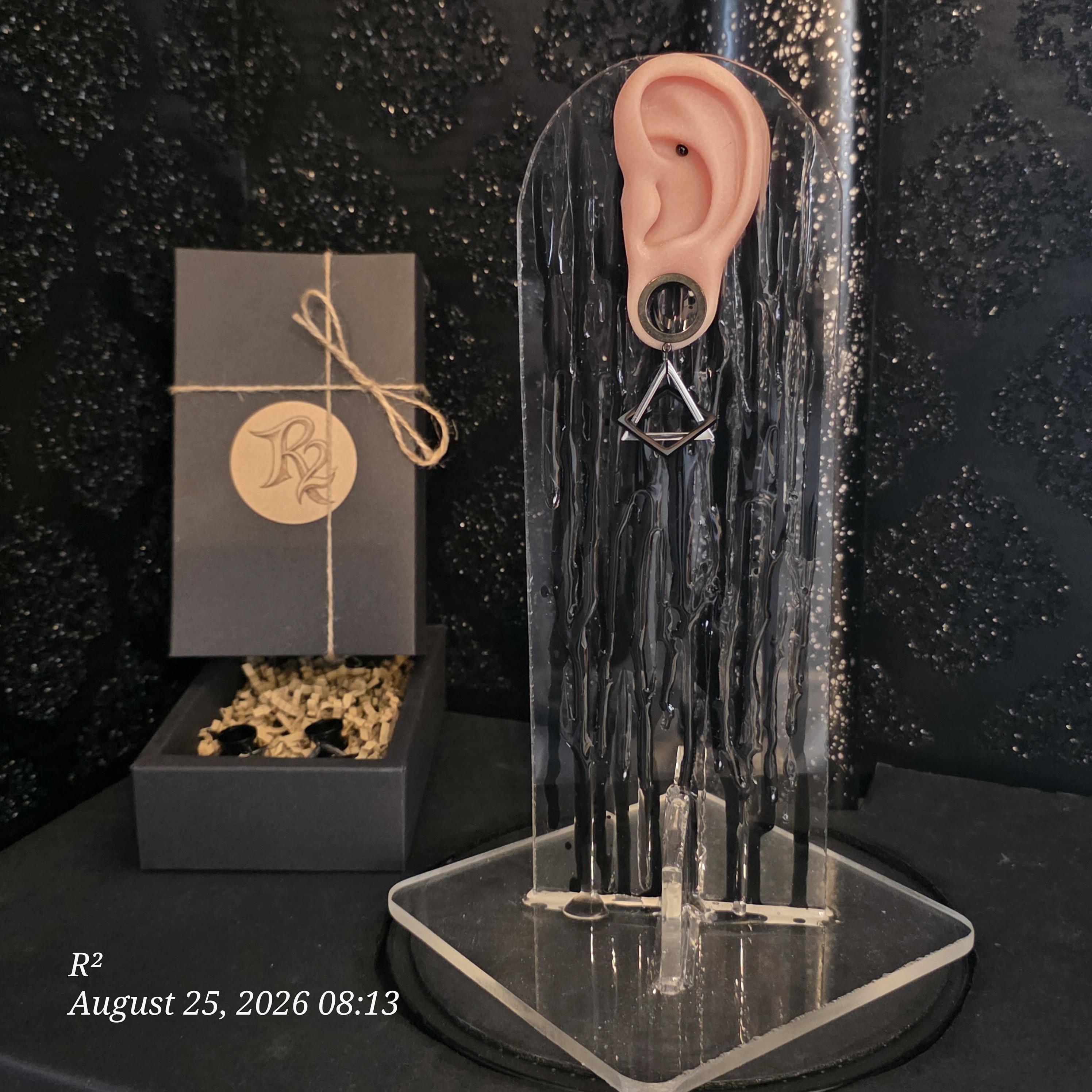 Silver Black Geometric Dangle Plug Earrings by R²