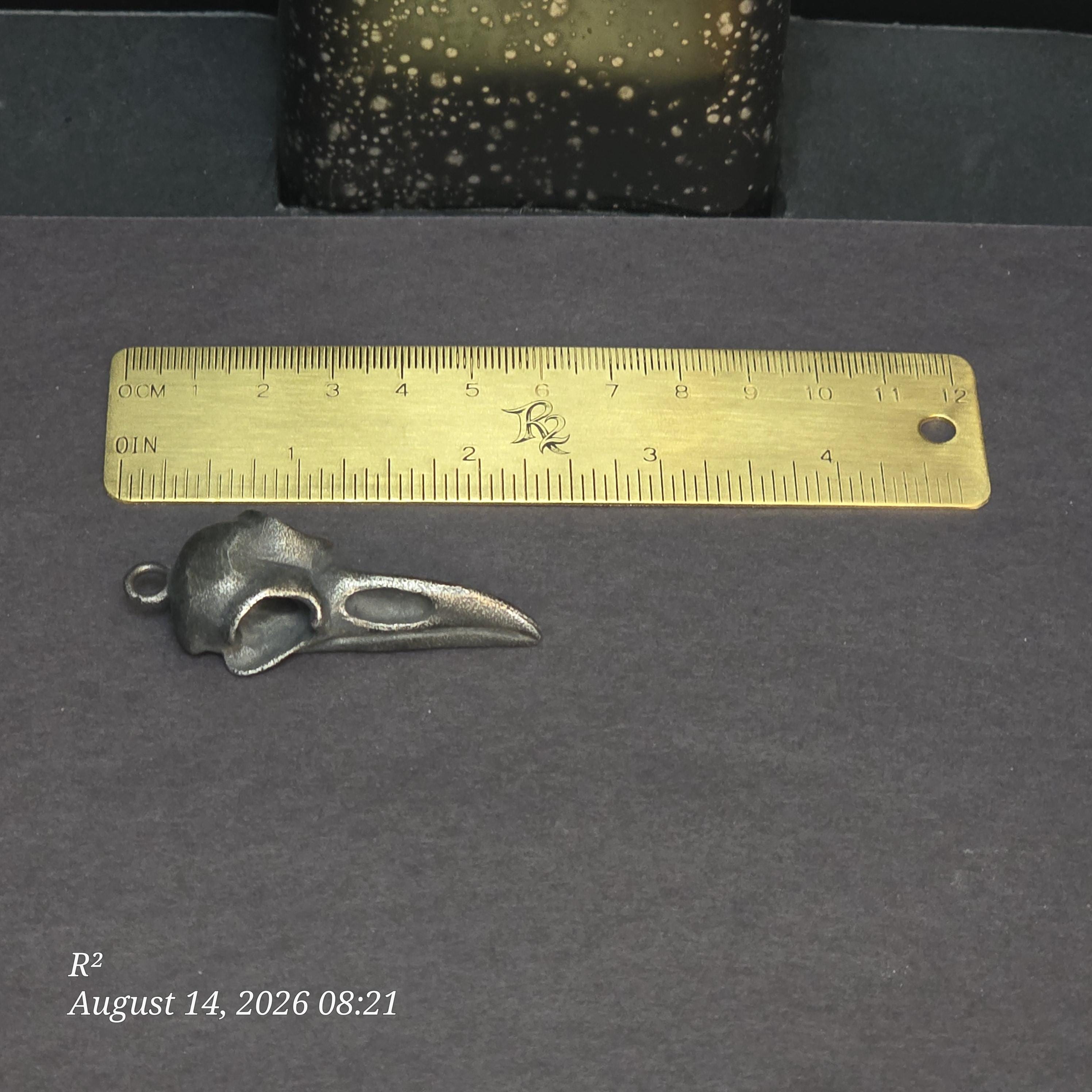 Raven Skull Dangle Plug Earrings additional view 2
